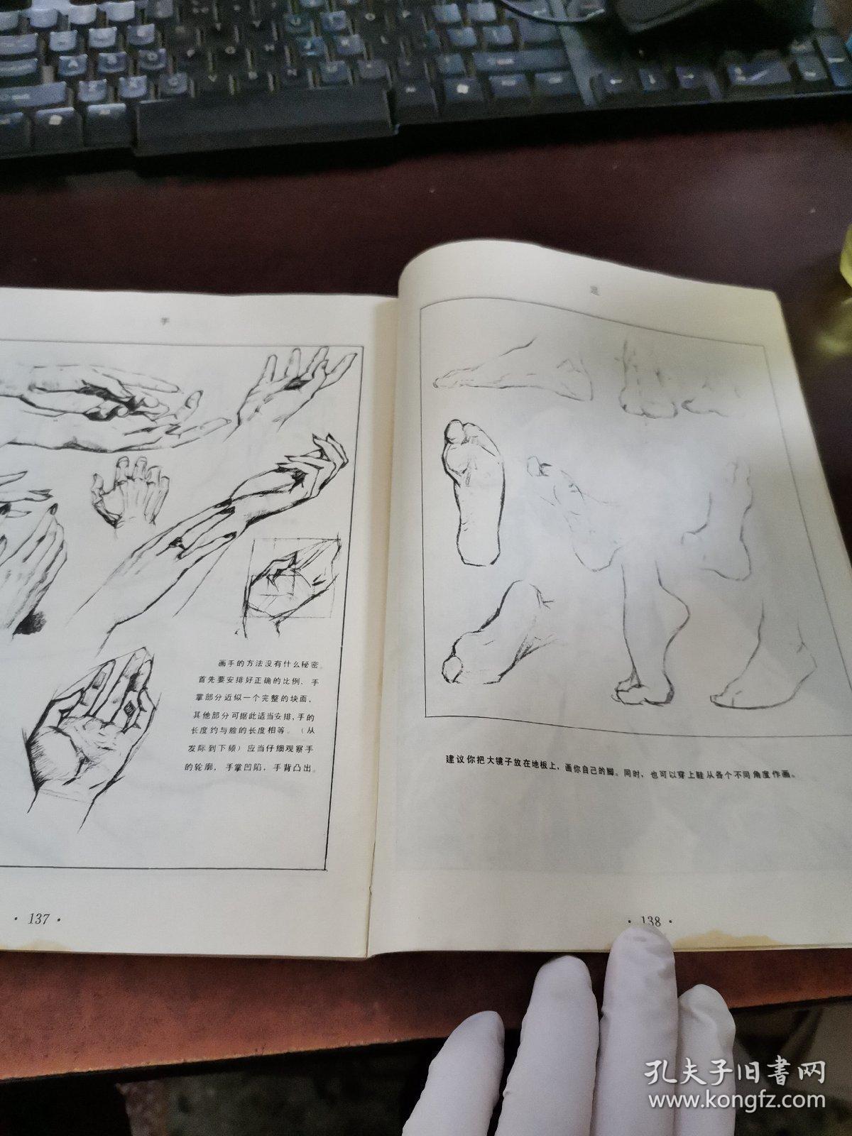 人体素描(内页干净)