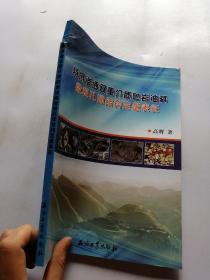 特低渗透双重介质砂岩油藏微观孔隙结构定量表征