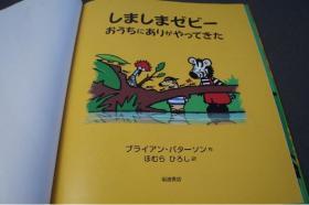 《日本儿童画册》 岩波书店    2004年
