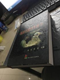 颌面功能性外科学