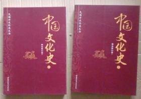 民国学术经典丛书：中国文化史（上下册）