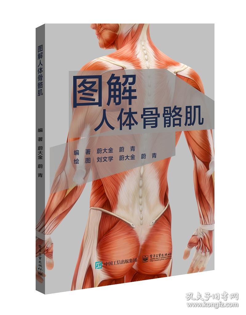 图解人体骨骼肌_蔚大金 著_孔夫子旧书网