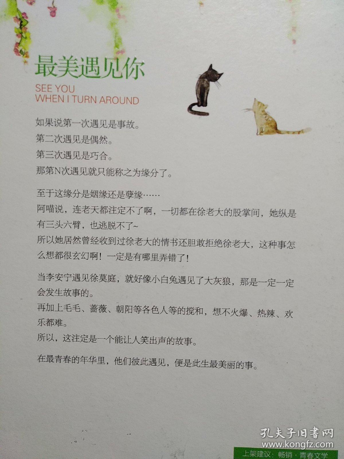 最美遇见你:完美纪念版