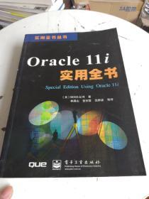 Oracle11i实用全书