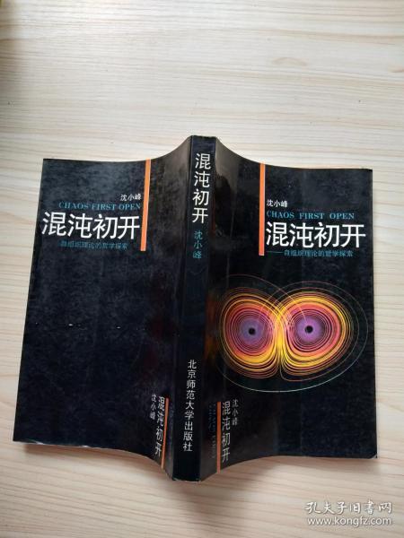 混沌初开   自 组织理论 的 哲学探索