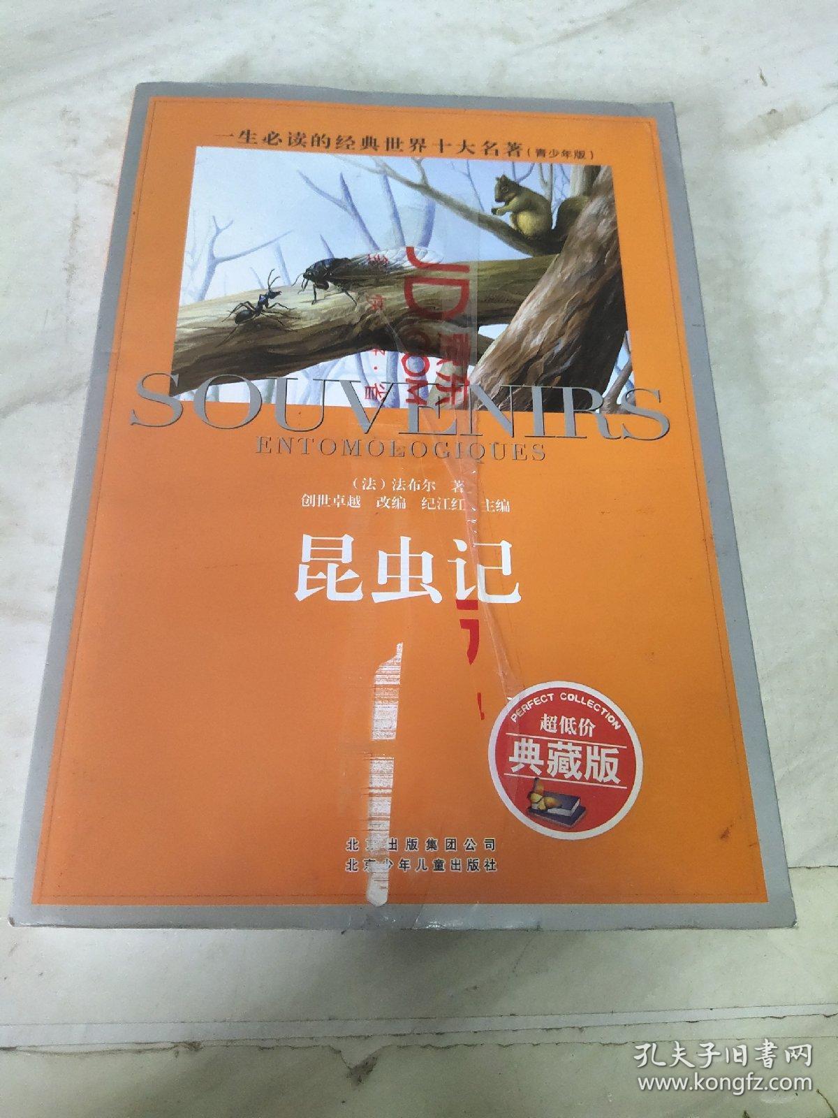 螳螂 蝗虫 蟋蟀 蝉 萤火虫 蜣螂 寻找枯露菌的甲虫 金步甲 樵叶蜂 黑