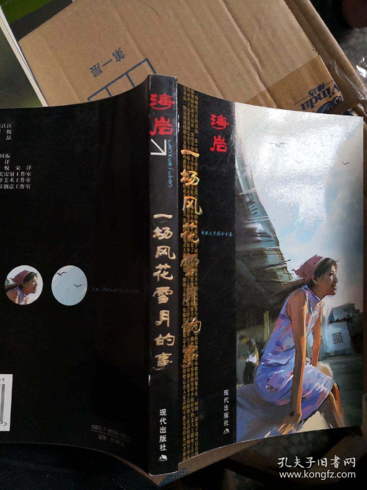 海岩作品:一场风花雪月的事