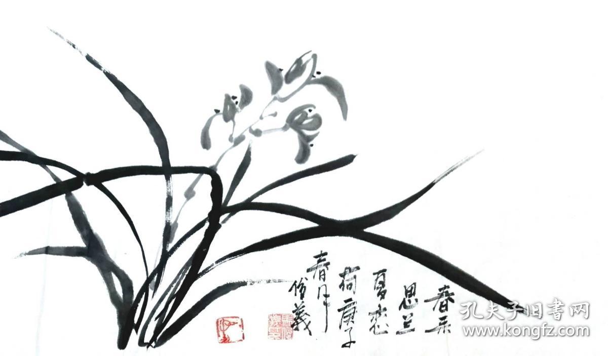 天来堂画家马俊义三尺兰花草