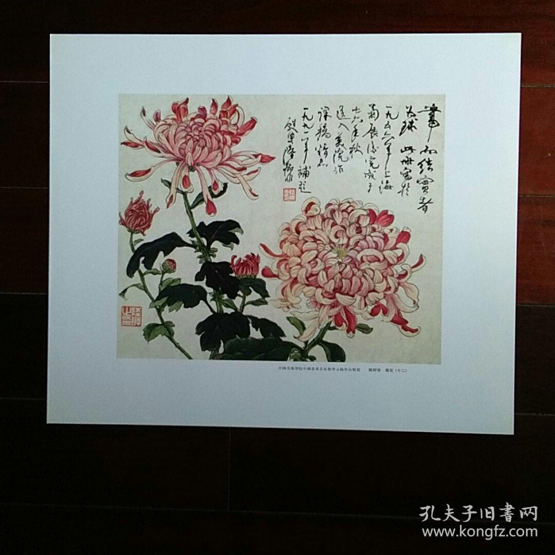 陆抑非――菊花