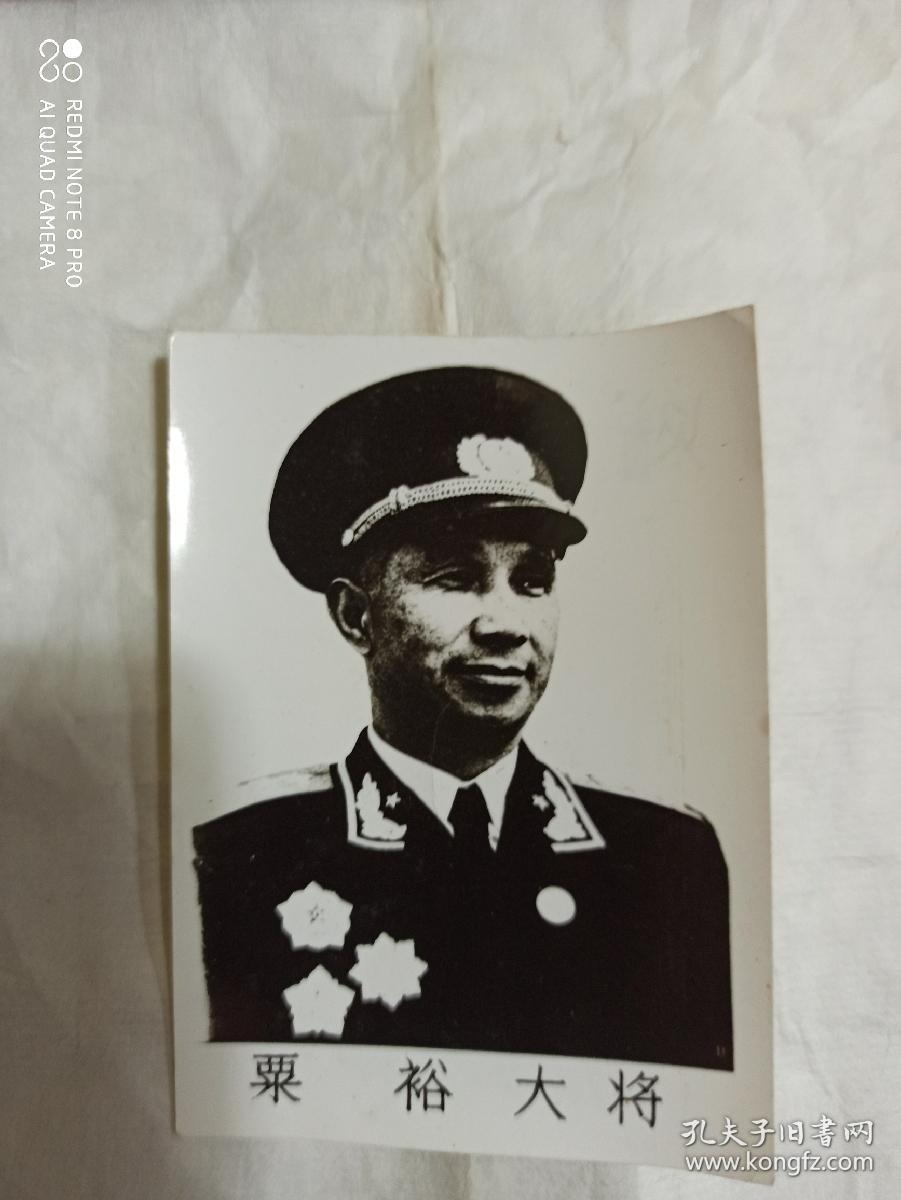 十大将军照片