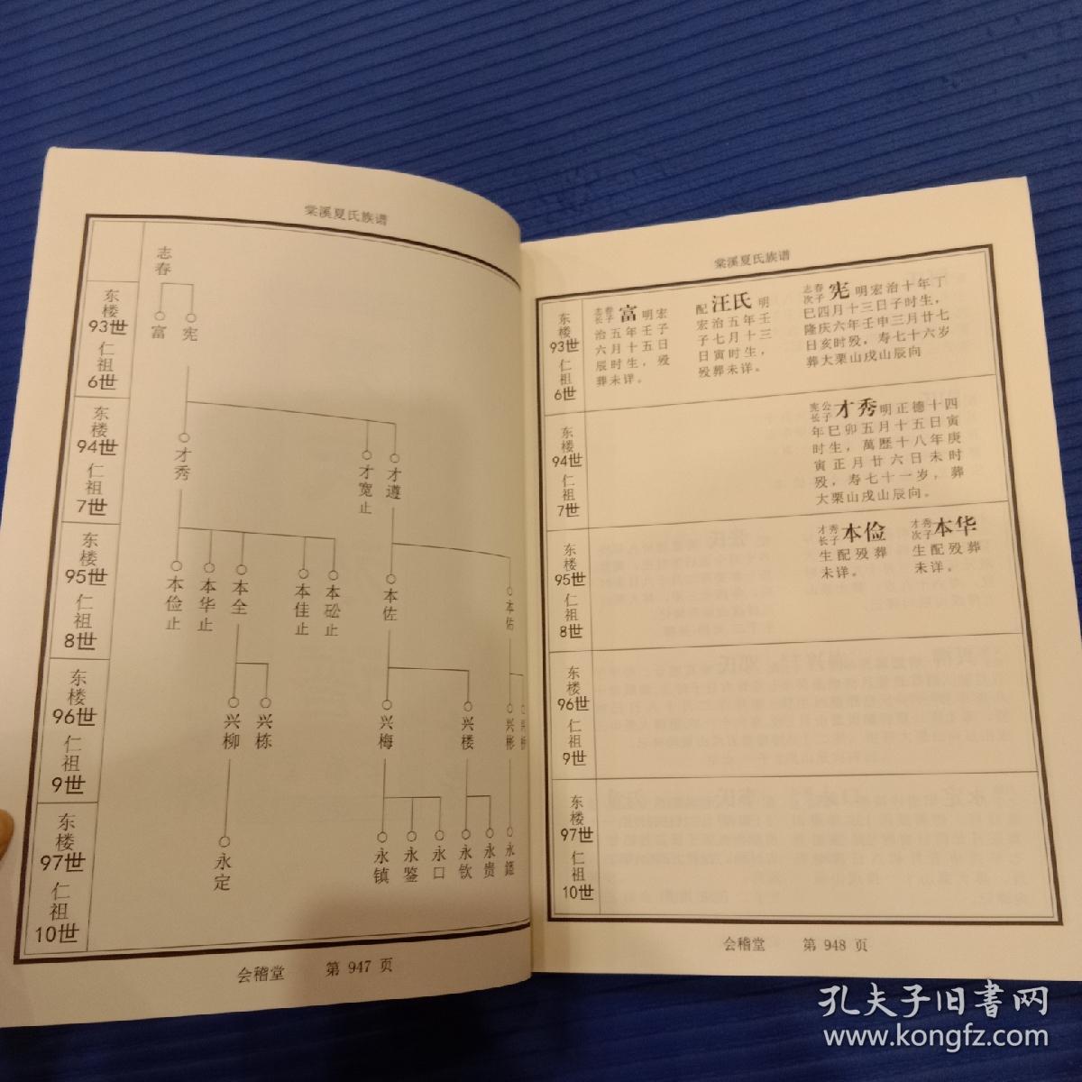 夏氏族谱会稽堂宁乡隆房16开1册