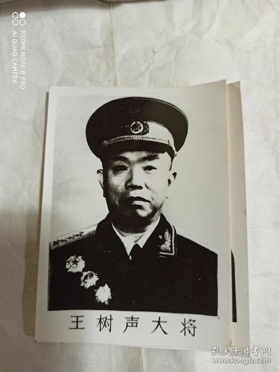 十大将军照片