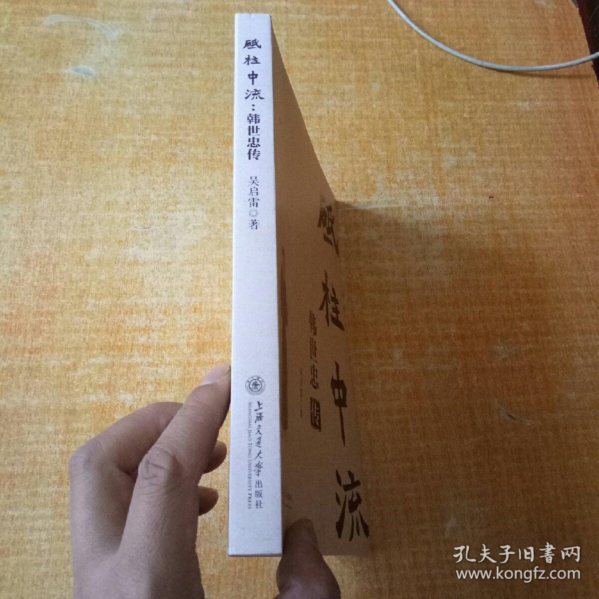 砥柱中流:韩世忠传