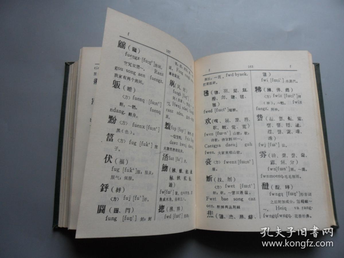 古壮字字典(初稿)一版一印_广西壮族自治区少数民族古籍整理出版规划