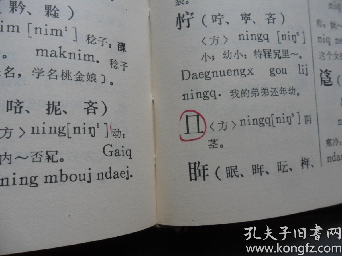 古壮字字典(初稿)一版一印