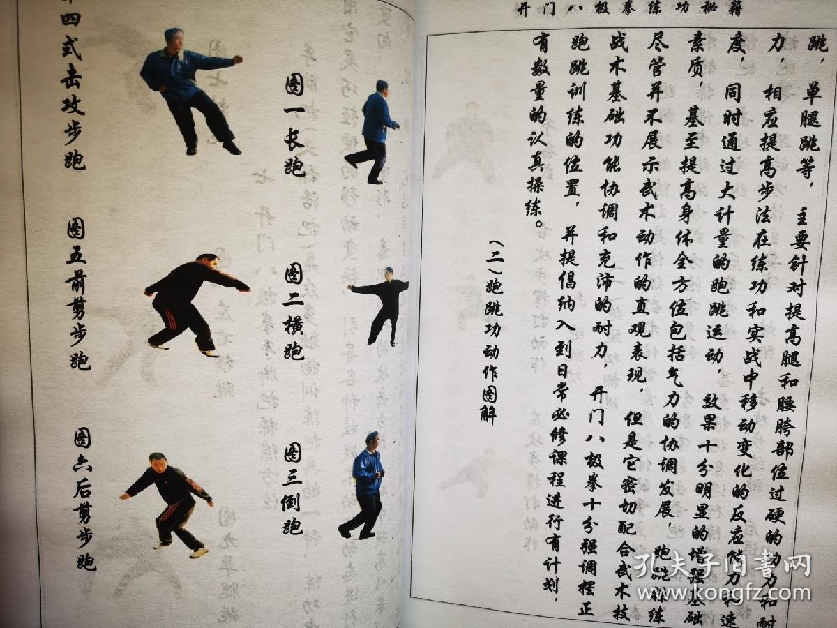 八极拳练功秘籍上下册附教学视频