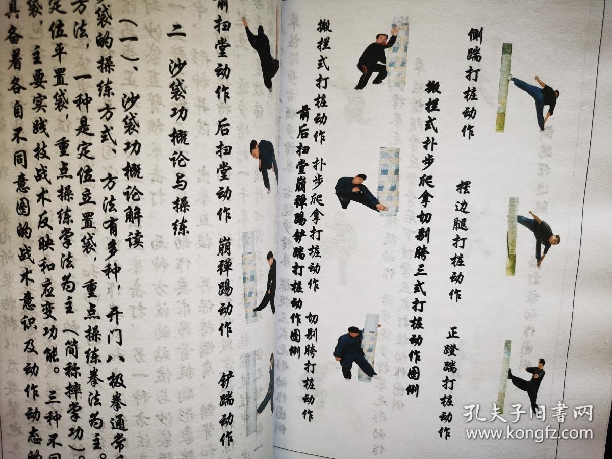 八极拳练功秘籍上下册附教学视频