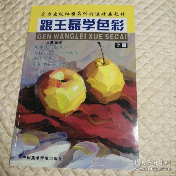 跟王磊学色彩(上下册)