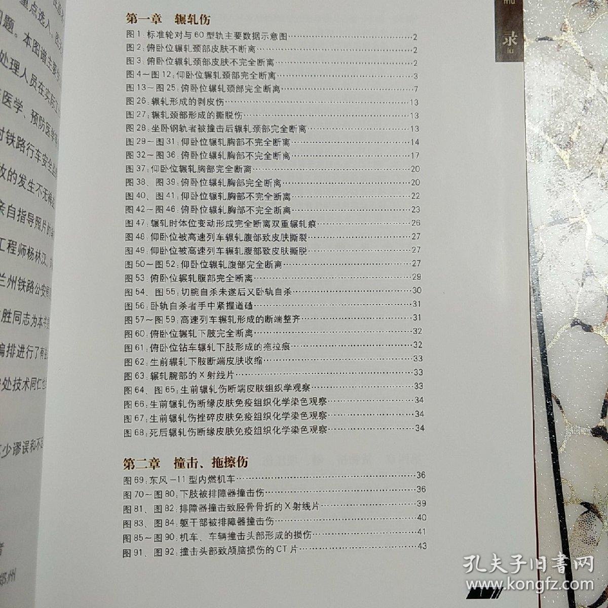 法医学铁道损伤图谱