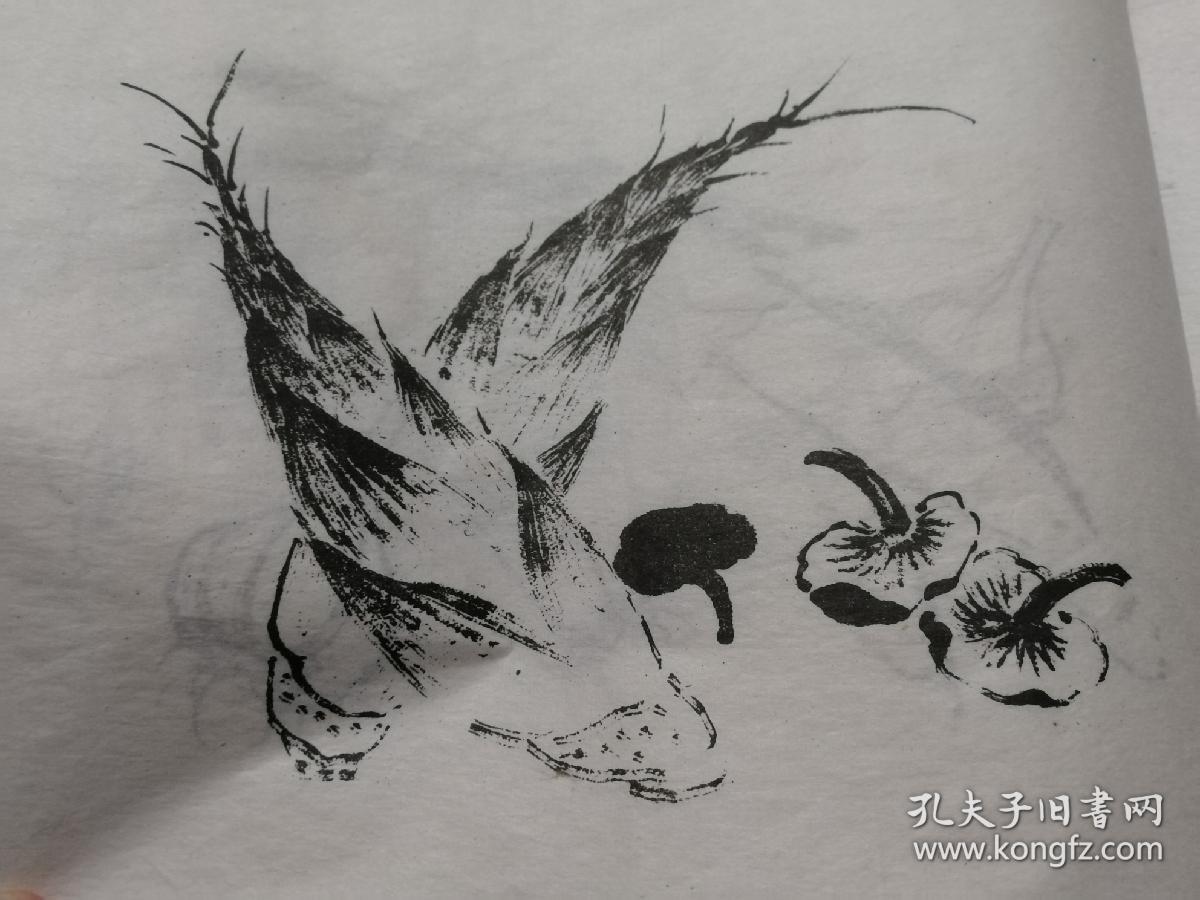 秀水今画家张子祥鸳鸯湖外史张熊的画鸟写生民国风情画稿入伍画稿张熊