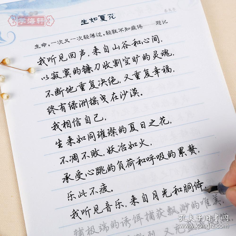 荆霄鹏钢笔硬笔中性笔成人学生行楷临摹书法字帖练字本 再别康桥面朝