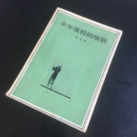 正版现货 少年维特的烦恼