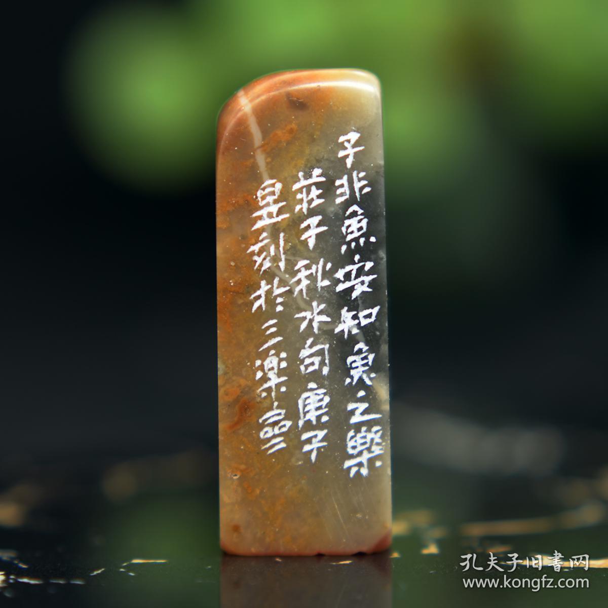 白文印 篆刻 闲章 印文:子非鱼.