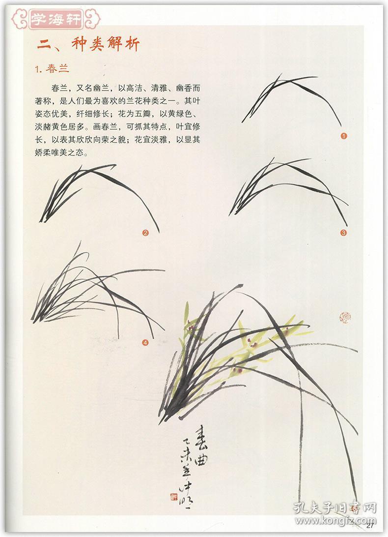 学海轩写意兰花中国写意画教程妙笔丹青系列墨点美术王忠民国画水墨画
