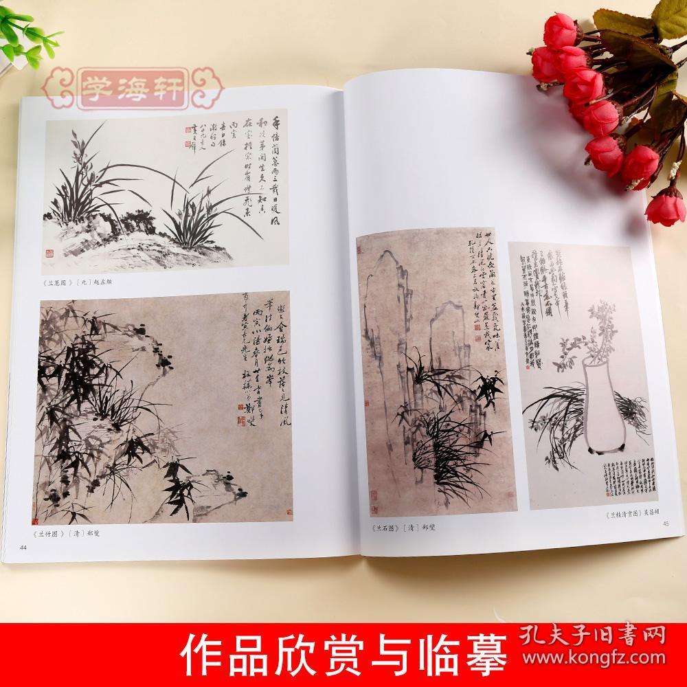 学海轩写意兰花中国写意画教程妙笔丹青系列墨点美术王忠民国画水墨画