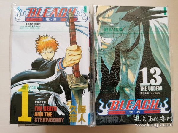bleach 境·界(1-24)