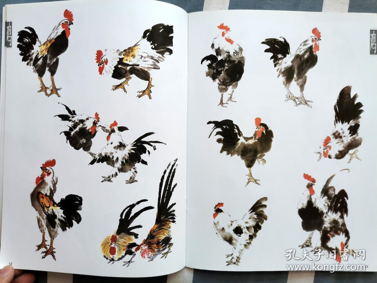 《千姿百态画家鸡》_郝邦义,吴秉钧 著_孔夫子旧书网