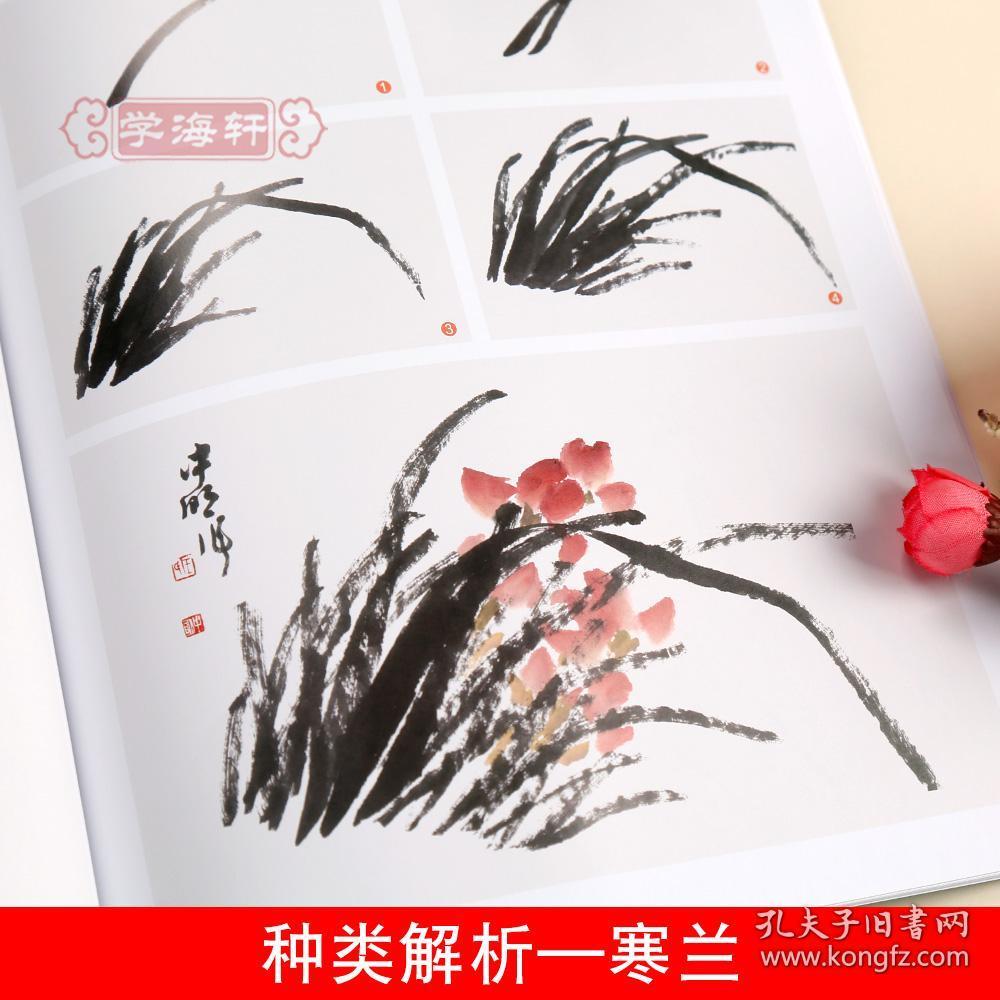 中国写意画教程 妙笔丹青系列 墨点美术 王忠民 国画水墨画入门教材