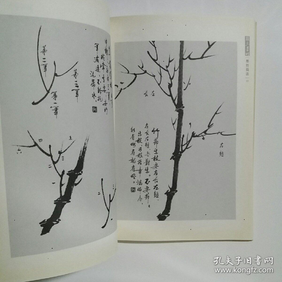 孙杰墨竹-(墨竹技法,作品欣赏)