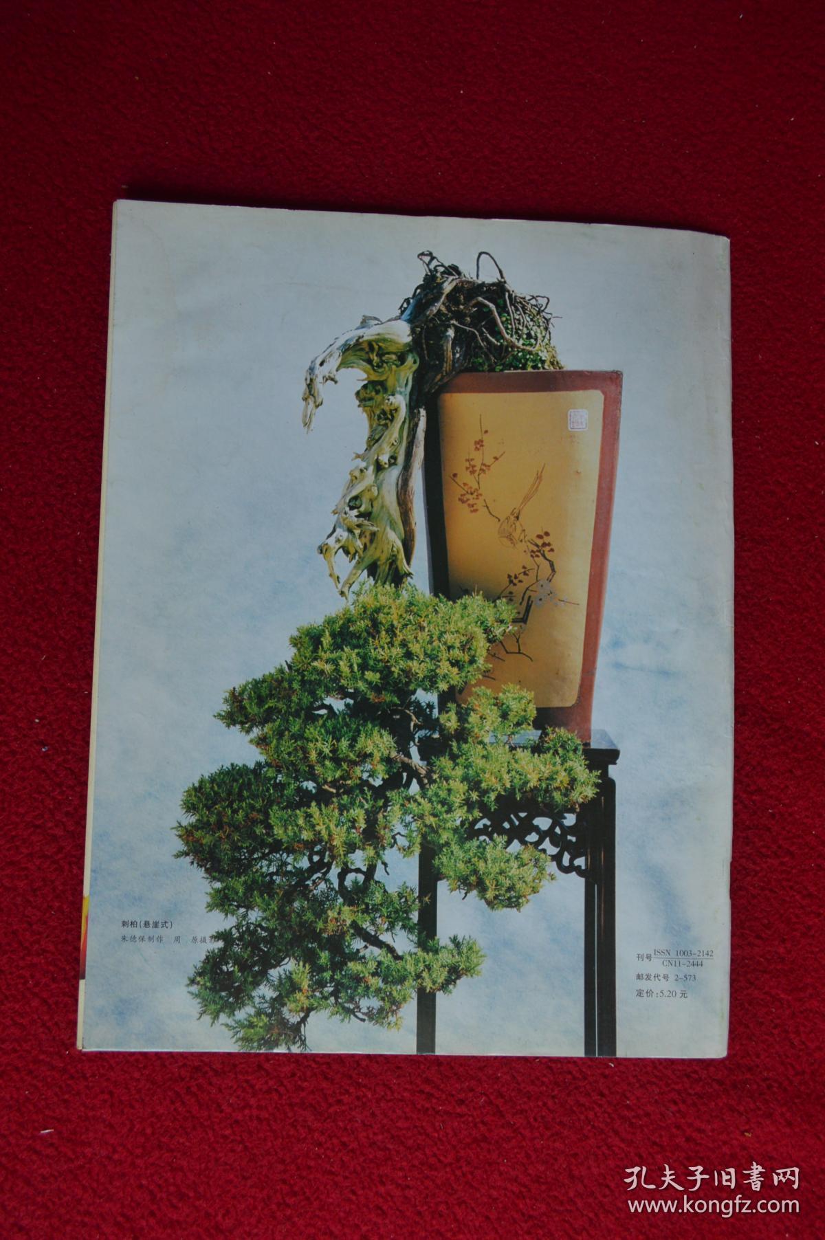 中国花卉盆景杂志2001年9