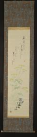 【日本回流】原装旧裱 延年 水墨画作品《野菊》一幅（纸本立轴，画心约3.6平尺，款识：延年，钤印：延年、成鹅）HXTX177649