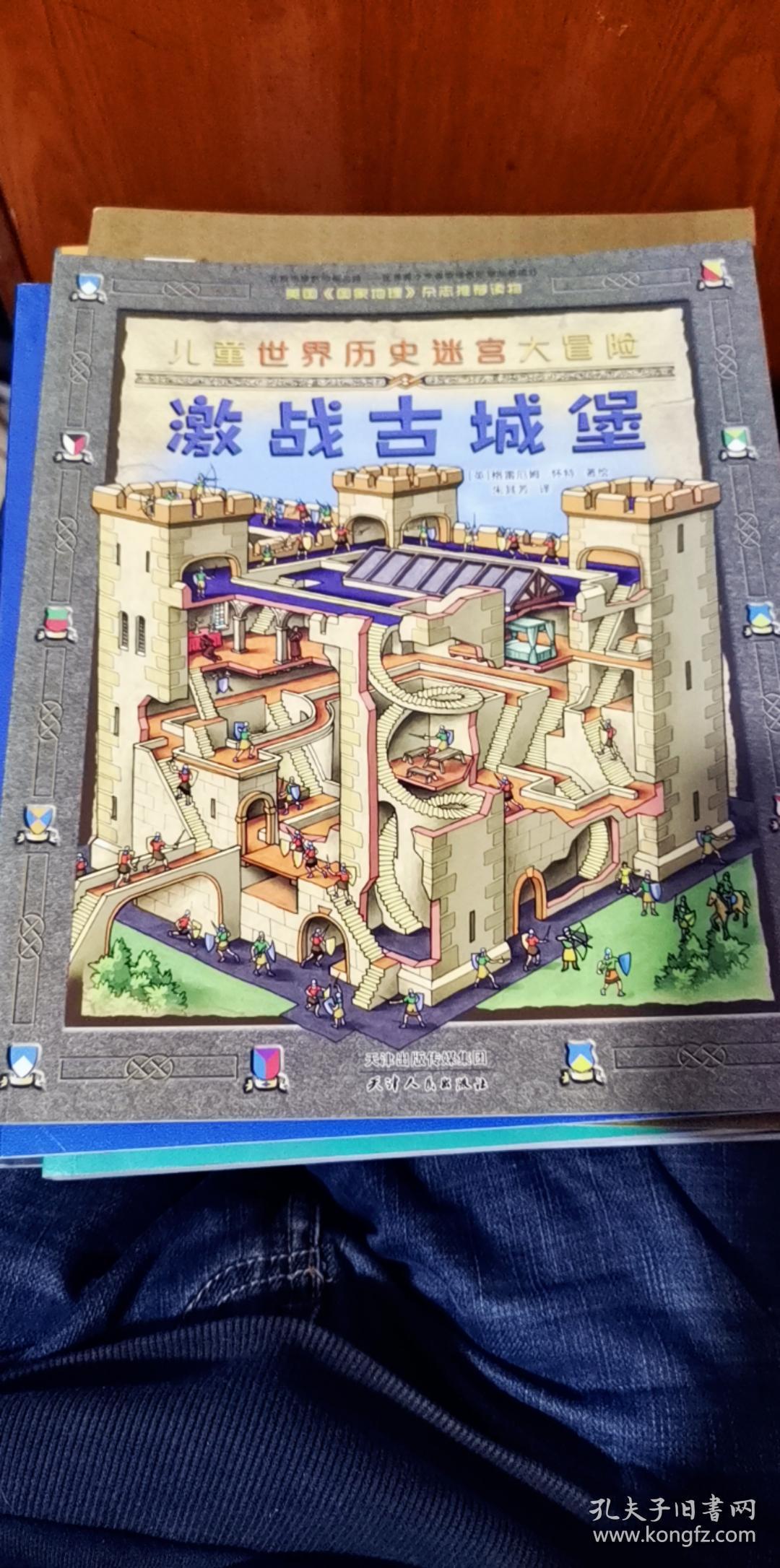 儿童世界历史迷宫大冒险-激战古城堡(美国《国家地理》杂志推荐读物)