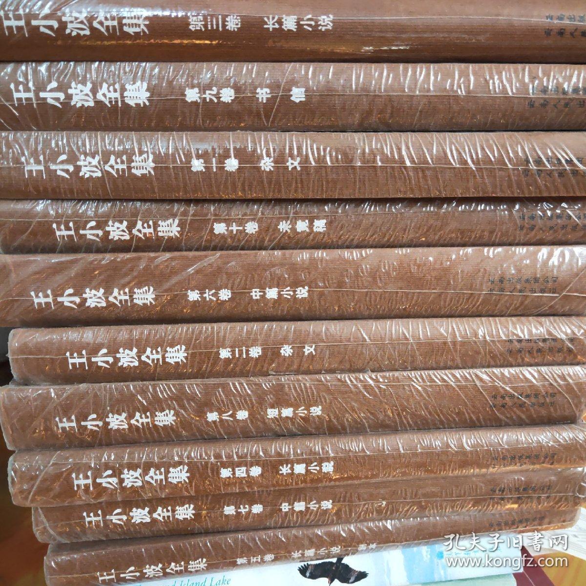 正版现货王小波全集全十册