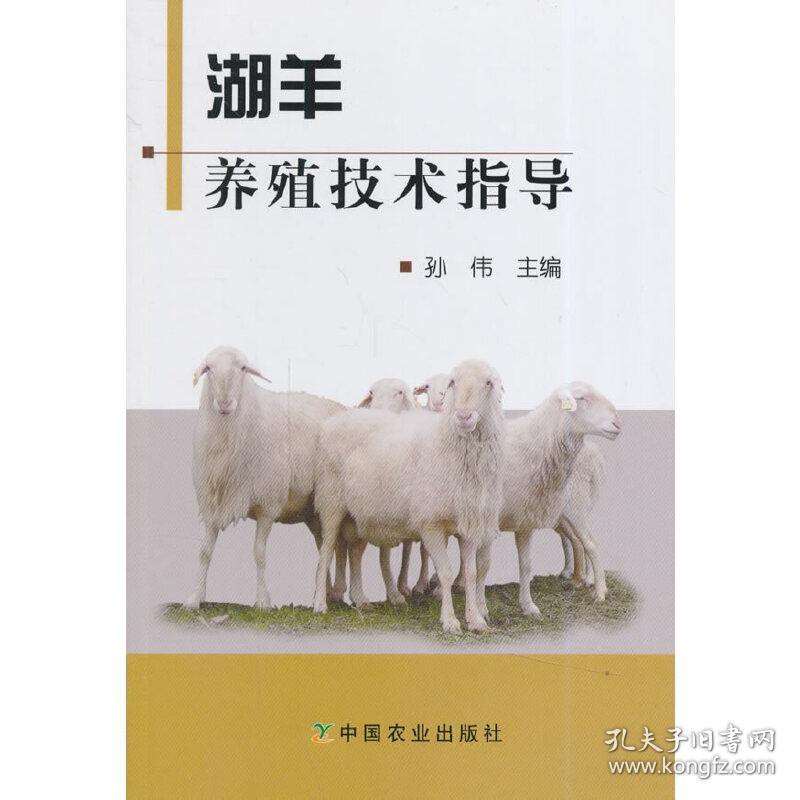 养殖技术知识 养殖技术知识羊