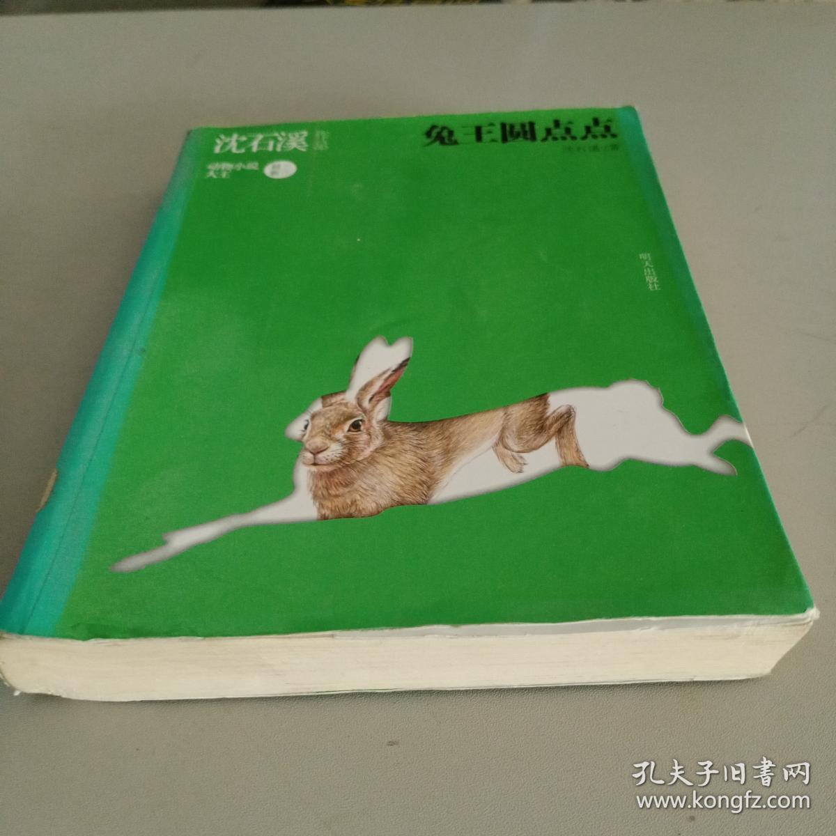 沈石溪作品--兔王圆点点