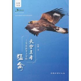 天空王者--飞过北京上空的猛禽/自然之友书系