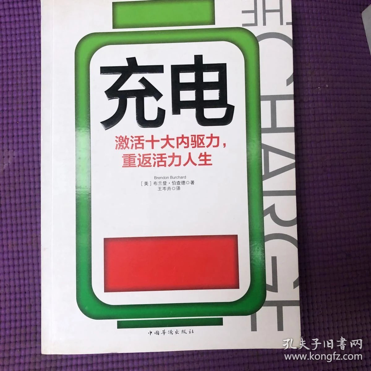 充电:激活十大内驱力,重返活力人生