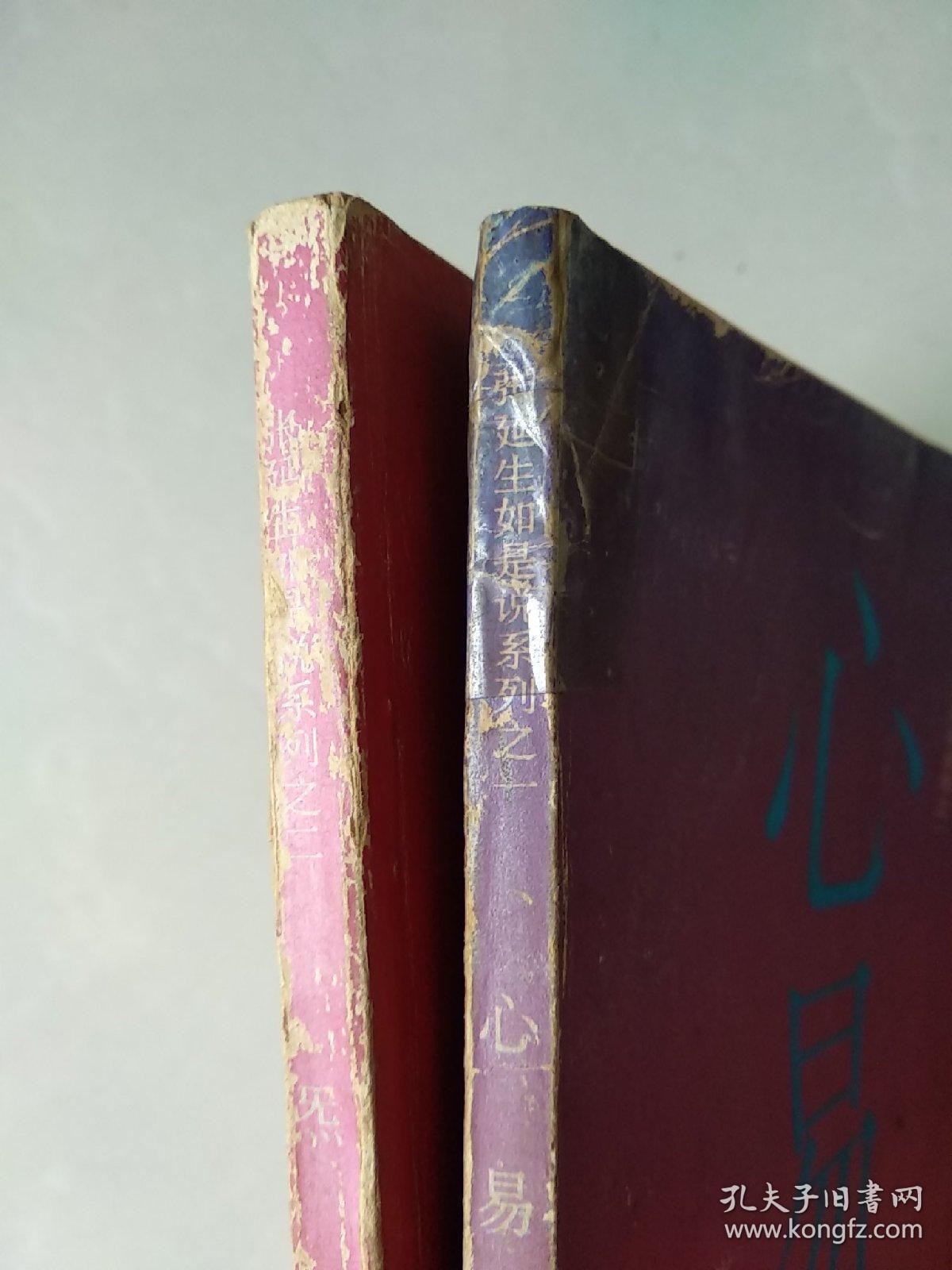 张延生如是说系列心易炁易