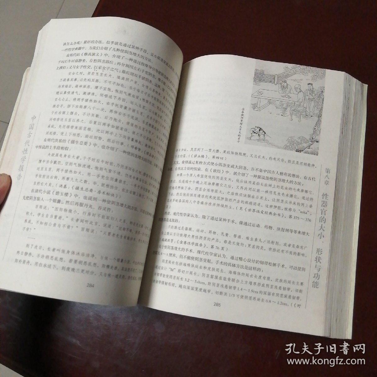 中国古代性学报告