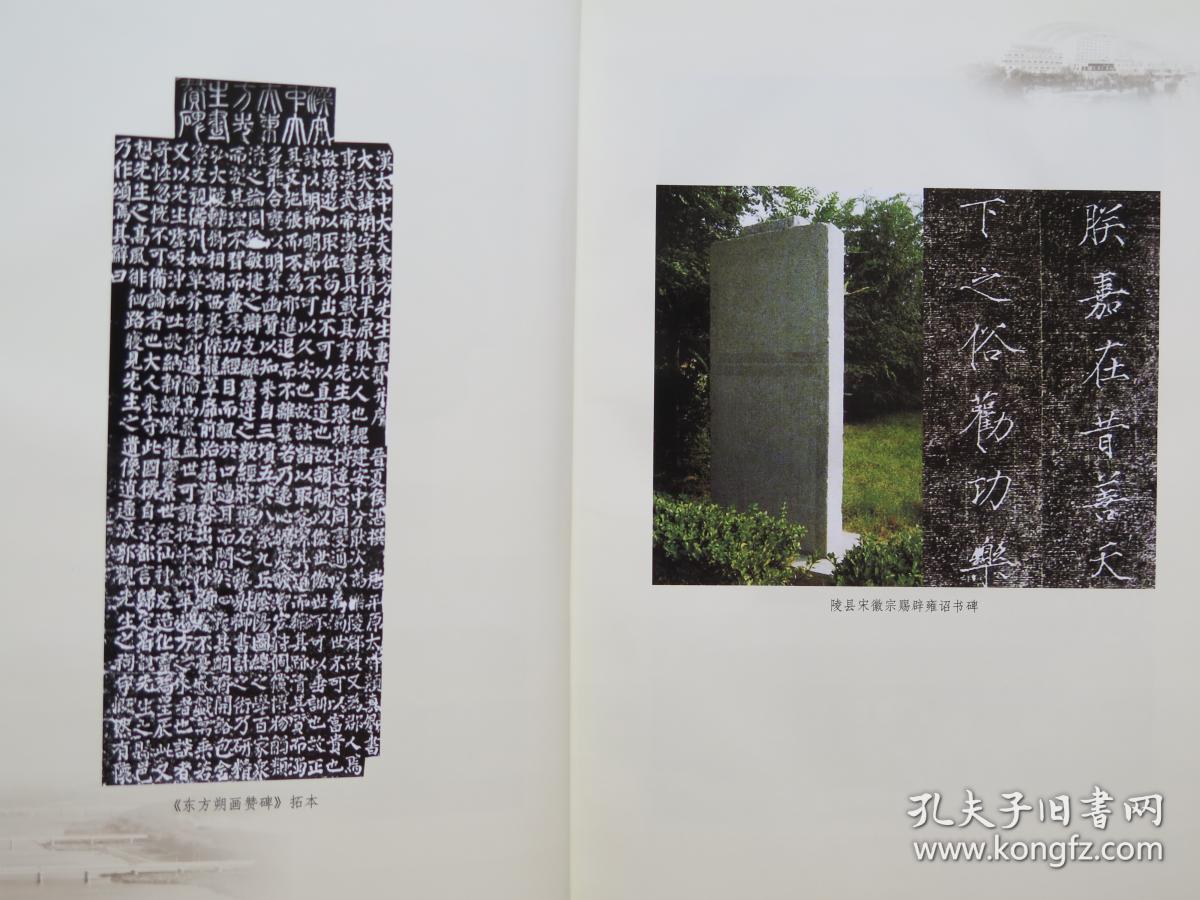 德州文化通览_田玉茂,史好泉 主编_孔夫子旧书网