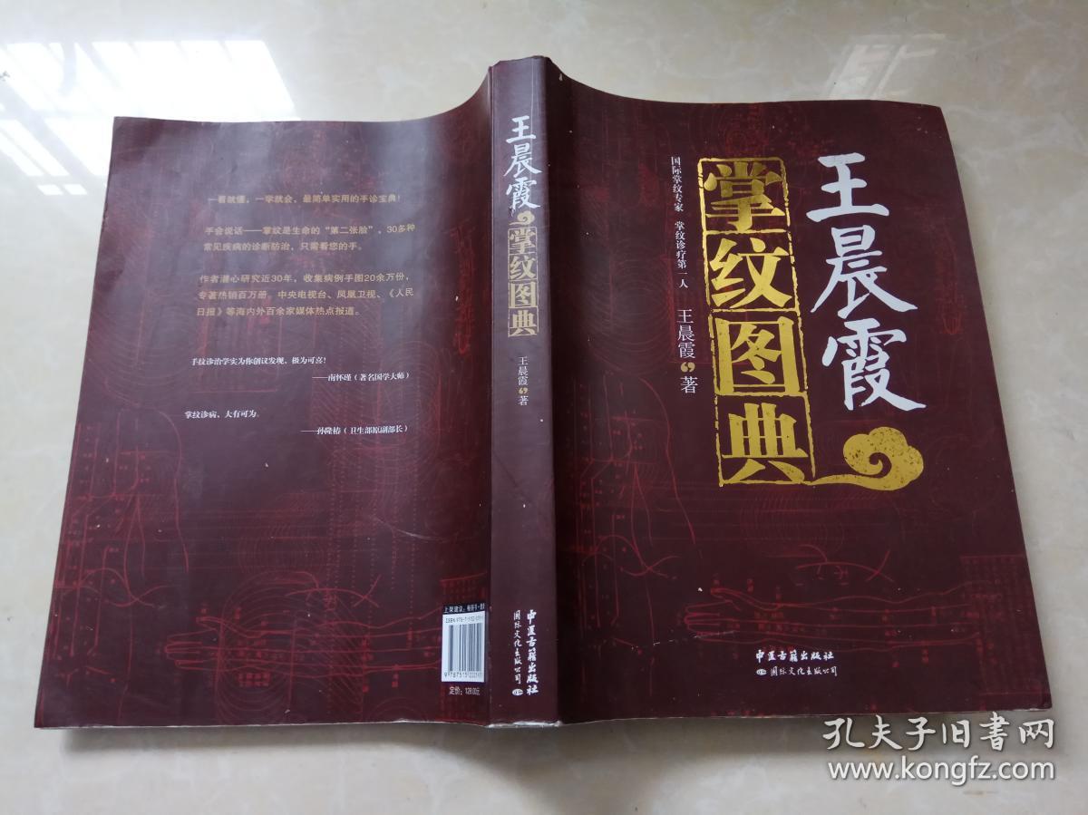 王晨霞掌纹图典