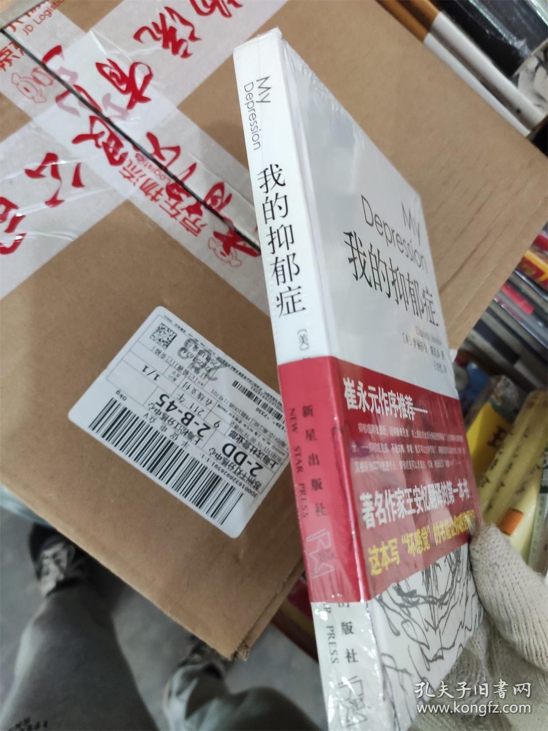 我的抑郁症 精装