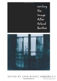 Writing The Image After Roland Barthes （new Cultural Studies Series）