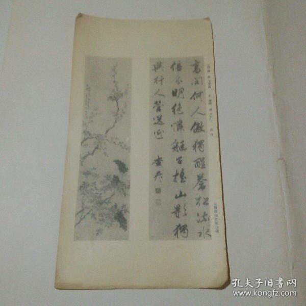 菊花台曲谱原唱简谱(2)