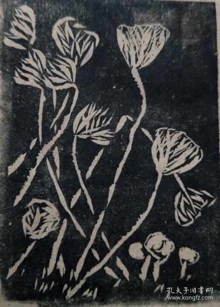 藏书票植物黑白灰图片