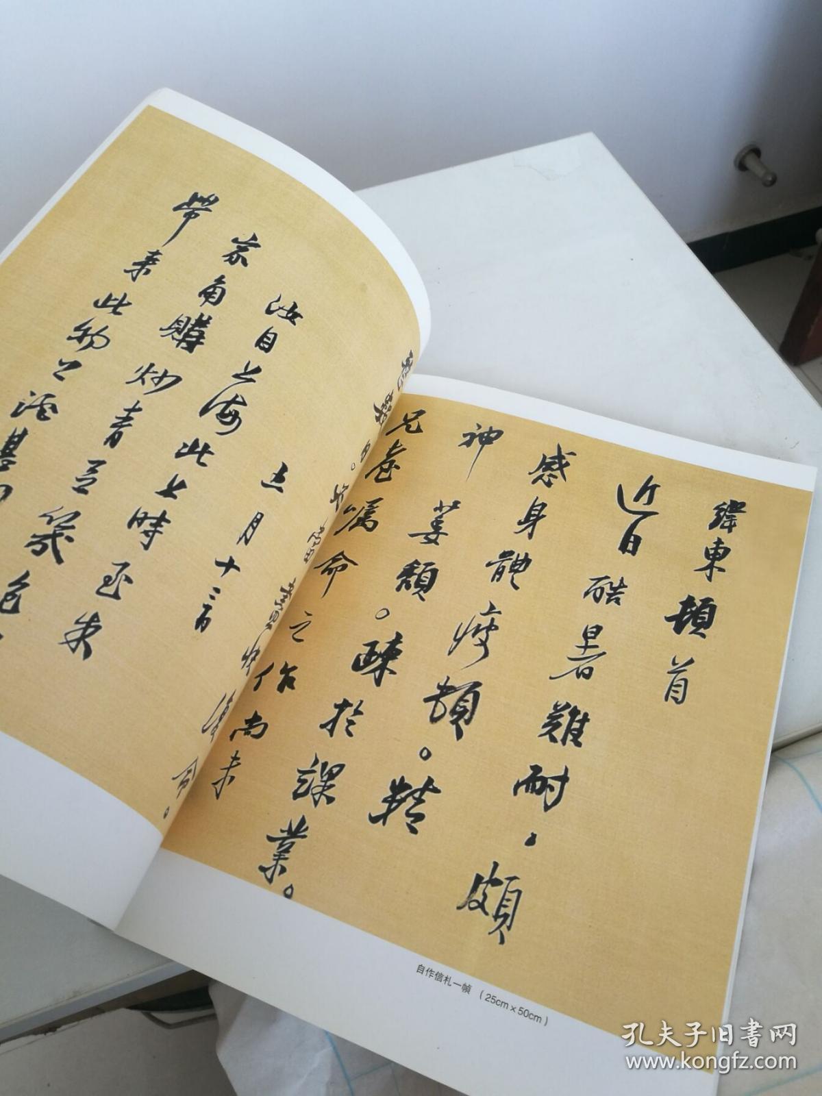 中国当代书法名家廊坊书法大系 张伟东书法作品集